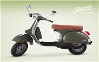 /fichas_tecnicas/lml/star/125_4t/2009-5245.htm