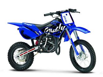 Foto principal de la moto MALAGUTI Grizzly