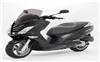 Foto 3 de la moto PEUGEOT Citystar