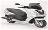 Foto 7 de la moto PEUGEOT Citystar
