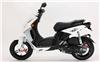 Foto 9 de la moto PEUGEOT LUDIX