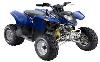 Foto 1 de la moto POLARIS Phoenix