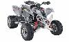 Foto 10 de la moto POLARIS Predator