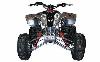 Foto 1 de la moto POLARIS Predator