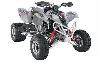 Foto 3 de la moto POLARIS Predator