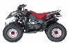 Foto 1 de la moto POLARIS Predator