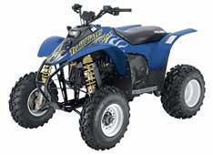 Foto principal de la moto POLARIS Trail