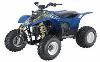 Ficha POLARIS Trail Blazer 250