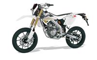 /fichas_tecnicas/rieju/marathon/pro_125_sm/2009-3559.htm