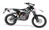 Ficha RIEJU MARATHON PRO 250