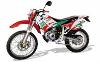 Ficha RIEJU RR Castrol