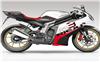 Foto 4 de la moto RIEJU RS3