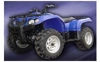 /fichas_tecnicas/rsx/ranger/400/2006-1983.htm