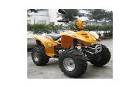 /fichas_tecnicas/rsx/rider/1100/2006-1988.htm