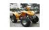 Ficha RSX RIDER 1100