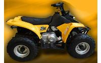 /fichas_tecnicas/rsx/spider/50/2006-1989.htm