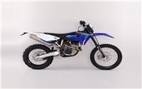 /fichas_tecnicas/sherco/enduro/30i__f/2011-5030.htm