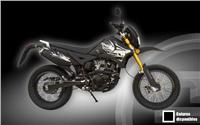 /fichas_tecnicas/sumo/pioneer/125/2008-4211.htm