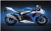 Foto 10 de la moto SUZUKI GSX
