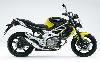 Foto 6 de la moto SUZUKI Gladius