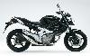 Foto 7 de la moto SUZUKI Gladius