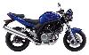 Foto 3 de la moto SUZUKI SV
