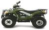 Foto 4 de la moto SYM QUADLANDER