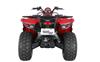 Foto 4 de la moto SYM QUADRAIDER