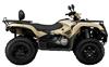 Foto 3 de la moto SYM QUADRAIDER