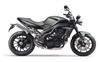 Foto 2 de la moto TRIUMPH SPEED