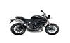 Ficha TRIUMPH SPEED TRIPLE ABS