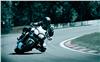 Foto 9 de la moto TRIUMPH SPEED
