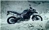 Foto 6 de la moto TRIUMPH TIGER