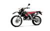 Foto 5 de la moto YAMAHA DT