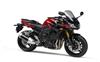 Foto 10 de la moto YAMAHA FZ1