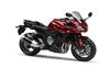 Foto 10 de la moto YAMAHA FZ1