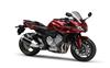 Ficha YAMAHA FZ1 S ABS
