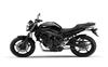 Foto 6 de la moto YAMAHA FZ6