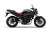 Foto 12 de la moto YAMAHA FZ6