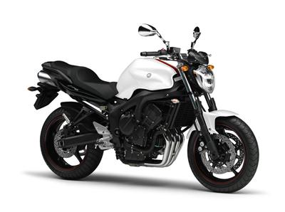 Foto principal de la moto YAMAHA FZ6