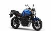 Foto 3 de la moto YAMAHA FZ6
