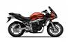 Foto 13 de la moto YAMAHA FZ6