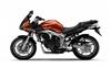 Foto 14 de la moto YAMAHA FZ6