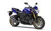 Foto 13 de la moto YAMAHA FZ8
