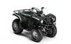 Foto 4 de la moto YAMAHA Grizzly