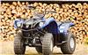 Foto 8 de la moto YAMAHA Grizzly