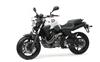 Foto 6 de la moto YAMAHA MT