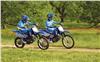 Foto 5 de la moto YAMAHA TT