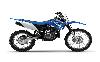 Foto 3 de la moto YAMAHA TT