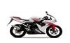 Foto 2 de la moto YAMAHA TZR